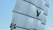 Maltese Falcon - Under Full Sail2